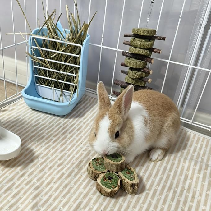 3PCS/10.5OZ Rabbit Chew Toys Guinea Pig Treats Natural Papaya Wood Chew Sticks for Teeth Bunny Guinea Pig Hamster Chinchilla (10.5oz (A))