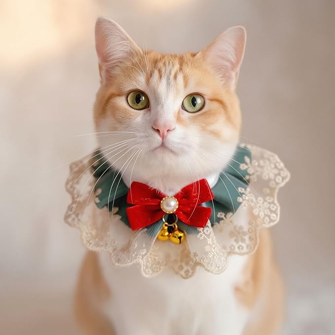Elegant Lace Cat Collar with Cute Bow,Cat Collar with Bow Tie,Pet Lace Bib Collar with Cute Bow,Cat Princess Costumes,Green Champagne,1 Piece ﻿
