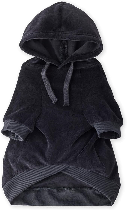 Pet Passion Cooper II Organic Cotton Velour Dog Hoodie Pet Coat for Small, Medium and Large Dogs, Black, Medium (20-45 lbs)