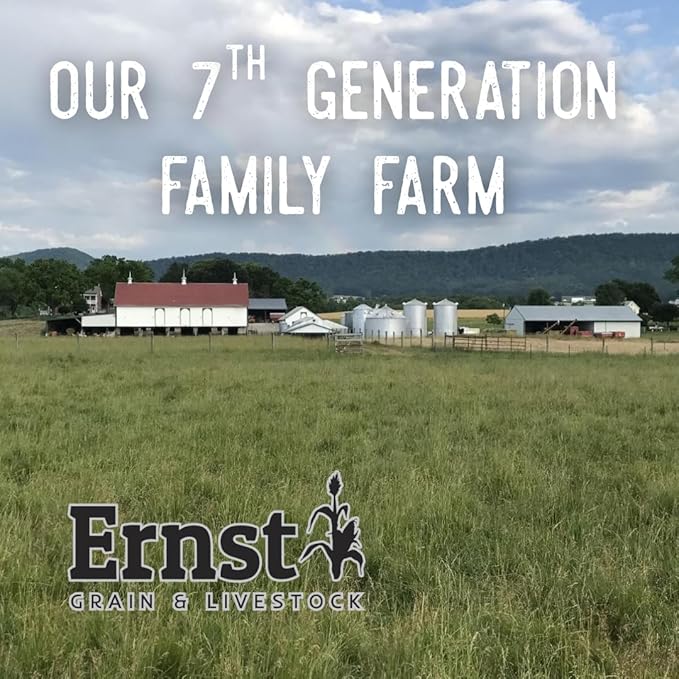 Ernst Grain & Livestock Apple‑Scented Whole Corn Feed – Premium 10 lb (160 oz) Portable Bag – Natural Fruit Aroma for Livestock, Poultry & Small Animals – All‑Natural, Unprocessed, Family Made
