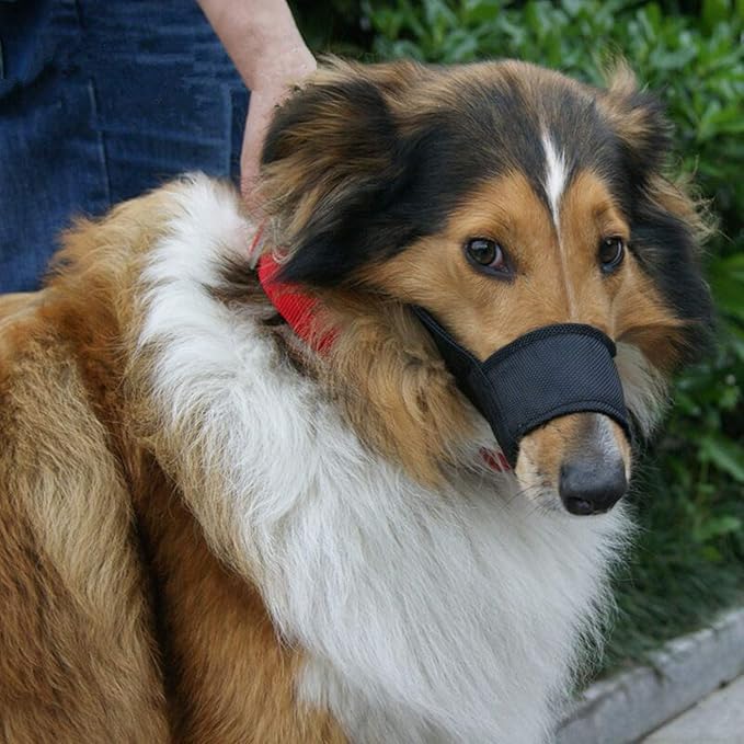 Dog Muzzles Suit - 7PCS Dog Muzzles Adjustable Quick Fit pet Muzzle Prevent from Biting Barking and Chewing for Small Medium Large Dogs,Black