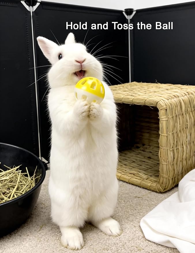 10 Pieces Rabbit Toys, Non-Toxic PP Bunny Toys, Smooth Edge Chew Balls for Rabbits, Fun Rolling Play for Teeth Care