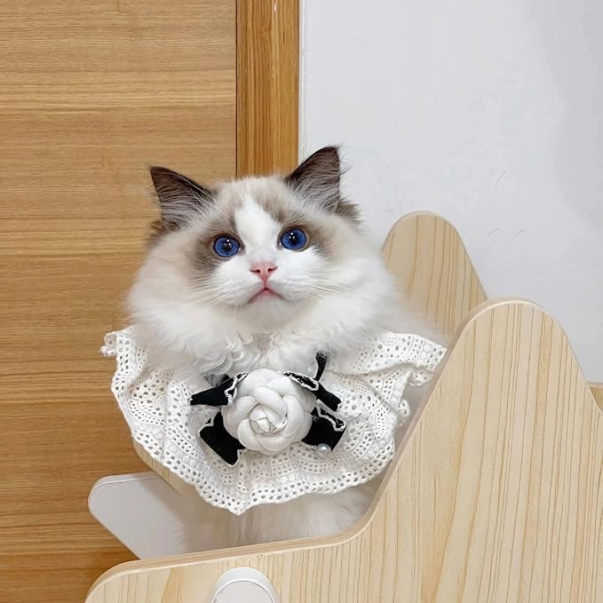 Elegant Lace Cat Collar with Cute Bow,Cat Collar with Bow Tie,Pet Lace Bib Collar with Cute Bow,Cat Princess Costumes,White,1 Piece ﻿