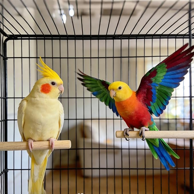 2PCS Natural Wooden Parrot Perch Stand, Wood Bird Perches for Cage with Different Widths Bird Cage Toys Accessories Hanging Multi-Branch Platform for Macaws Parakeets Conures Budgies Finches