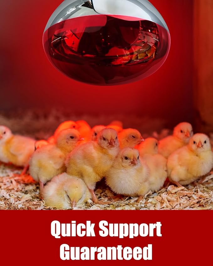 250W R40 Red Heat Lamp Bulbs, 8000 Hours Rated, Infrared Flood Light, Brooder Heating Lamp for Chickens, Reptiles, Pets, Bathroom, E26 Base - 12 Pack