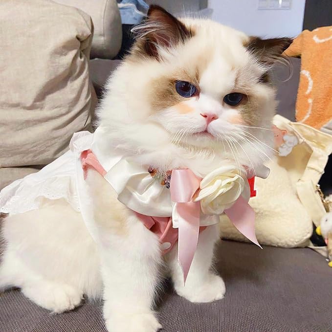 Elegant Lace Cat Collar with Cute Bow,Cat Collar with Bow Tie,Pet Lace Bib Collar with Cute Bow,Cat Princess Costumes,Pink,1 Piece ﻿