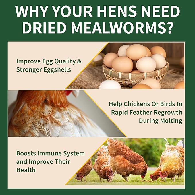 BUNTIE WORMS 20LB Dried Mealworms, 100% Natural, Non-GMO Meal Worms, Dried for Chickens, Wild Birds, Reptile, Hamster, Hedgehog, Pigeon