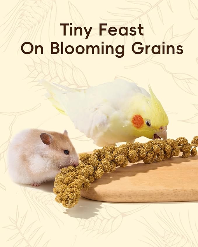BUCATSTATE 60PCS Natural Hamster Bedding - Flowers & Herbs & Sprays for Cage Habitat Decor - Treat Cereal Grain for Dwarf Syrian Gerbils, Mice, Rat, Forage, Enrichment.
