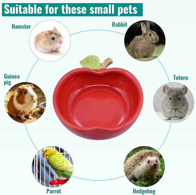 Small Ceramic Guinea Pig Food Bowl Cute Hamsters Food and Water Bowl Ferret Rat Chinchilla Rabbit Feeding Dish Young Animal Feeder (Red)