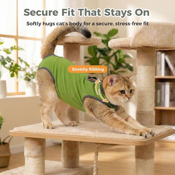 Avont Cat Recovery Suit for Surgery, Breathable Anti-Licking Onesie for Kittens, Surgical Post-Operative Protective Bodysuit, Comfortable Alternative to E-Collar -Green (M)