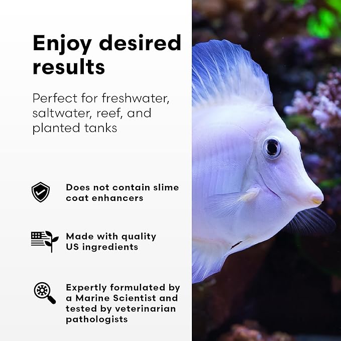 Continuum Aquatics Fraction Water Conditioner for Freshwater & Marine Aquariums – Removes Ammonia, Chlorine & Chloramines – Supports Aquarium Balance – Reef & Fish Safe – Advanced Water Treatment, 4 L