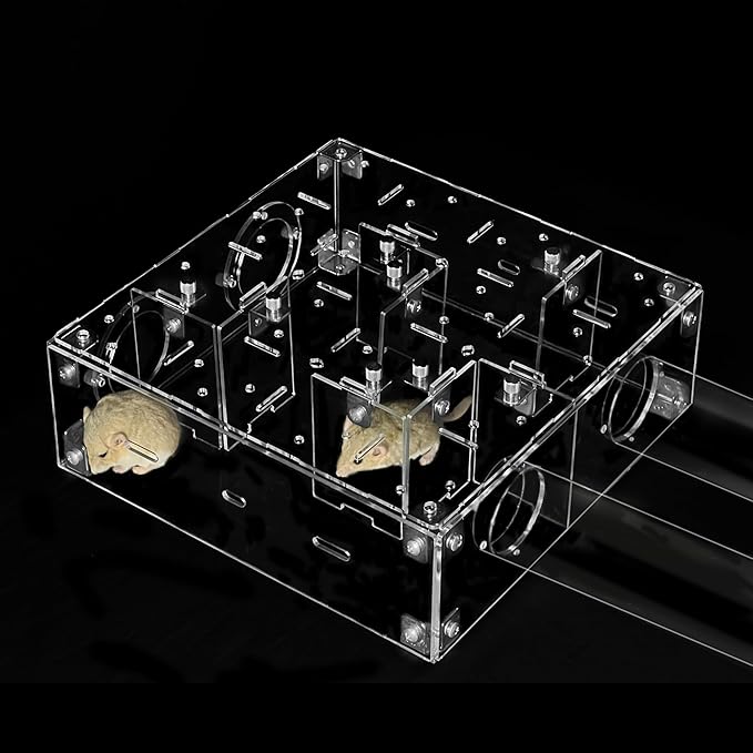 GuineaLoft™ Small Pet Maze V2 – Innovative Maze for Hamsters, Rats, Mice, Gerbils, and Other Small Rodents, Easy to Build, Fits Inside a Cage or Works Standalone, Connectable