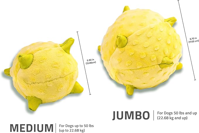 Playology Dog Toys | Plush Sensory Ball for Large Puppies and Young Dogs | Chicken Scented Jumbo Dog Ball Chew Toy | Teething Puppy Essentials