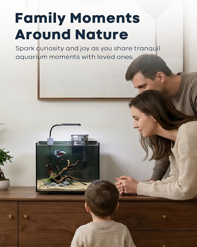 3 Gallon Aquarium Set Small Fish Tank Glass, Starter Kit with Heater Water Pump Cleaning Filter Bright Light Rocks Gravel Cleaning Tool, Leak-Proof Clear Rimless Desktop Spaces Saving Betta Fish