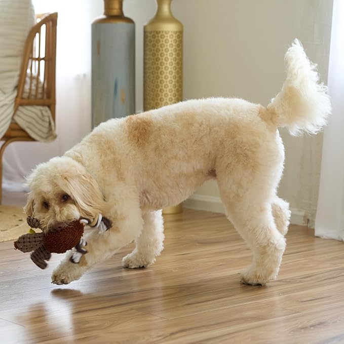 SPOT Gigglers Chicken Dog Toy with Giggle Sound, Textured Plush Tug Toy with Rope Legs, 12" for Small and Medium Dog Breeds