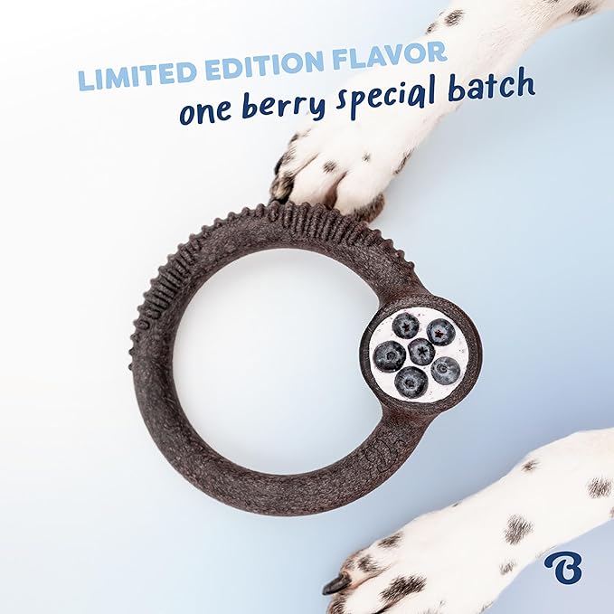 Benebone Ring Durable Dog Chew Toy for Aggressive Chewers – Limited Edition Blueberry Flavor, Small