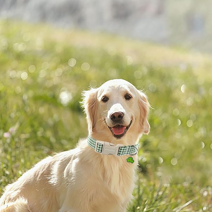 Lionet Paws St. Patrick Dog Collar, Comfortable Adjustable Green Collar with Green and White Grid Pattern for Large Male Female Dogs Collars,Neck 16-24 inches