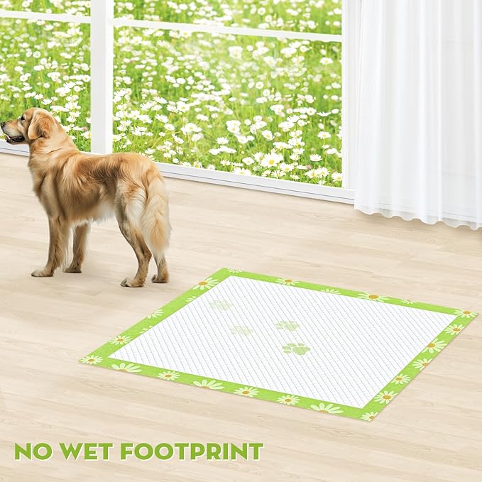 CROCI Pee Pads for Dogs 28x34in Daisy Pattern, Puppy Pads with Adhesive Tabs Super Absorbent Up to 8 Cups, Disposable (40 Counts)