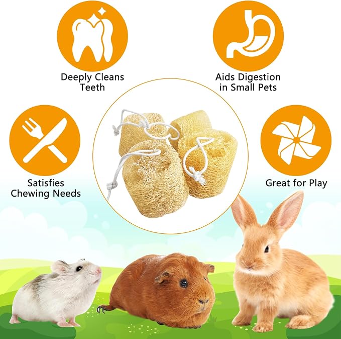 12 Pcs Rabbit Chew Toys Natural Bunny Loofah Chew Toy Chinchilla Teeth Grinding Toys Guinea Pig Fibre-Rich Treats Enrichment Bunny Accessories for Rabbits Hamster (M)