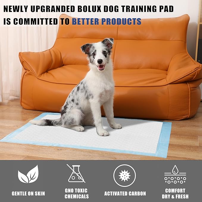 Dog and Puppy Training Pads， Disposable Dog Pee Pads (150, 13"*18" (33*45cm))