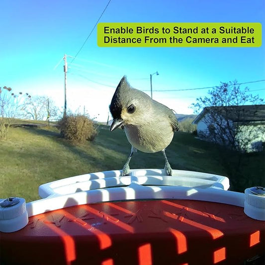 Wider Extension Perch Daily Add-on Accessories Easy Install Durable Stand Compatible with Bird Buddy