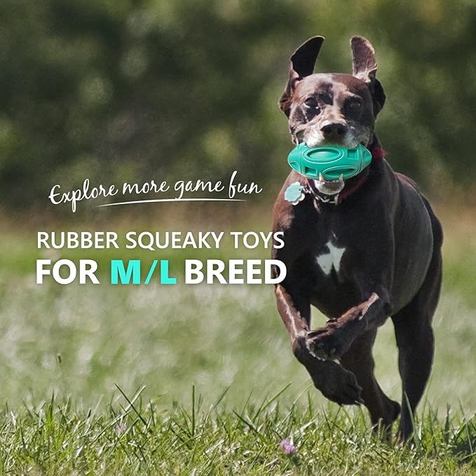 EASTBLUE Squeaky Dog Toys for Aggressive Chewers: Rubber Puppy Chew Ball with Squeaker (Teal)