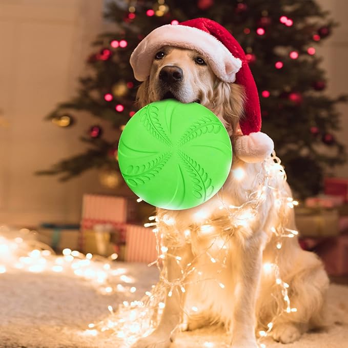 Nobleza Dog Flying Disc 2 Pack，8 in Flexible Floatable Dog Disc Toy for Long-Distance Flies and Floats， Lightweight Soft Flying Discs Toy for Small Medium Large Dogs to Fetch & Catch, Blue & Green