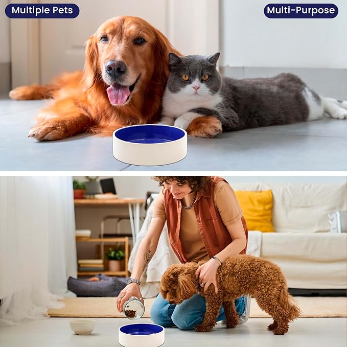 SPOT Standard Crock Dish - Heavy Duty, Non-Slip, Round Ceramic Food/Water Bowl for Pets, Ideal for Medium to Large Dogs or Multiple Animals, Dishwasher Safe - 9.5 in, 8 Cups, (64 Oz)(Pack of 6)