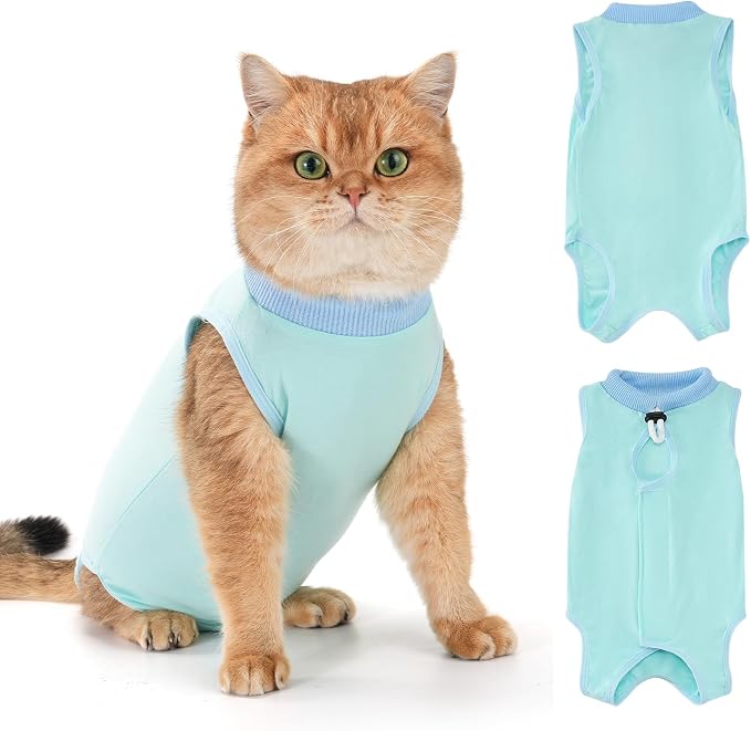 Avont Cat Recovery Suit for Surgery, Breathable Anti-Licking Onesie for Kittens, Surgical Post-Operative Protective Bodysuit, Comfortable Alternative to E-Collar -Mint (M)