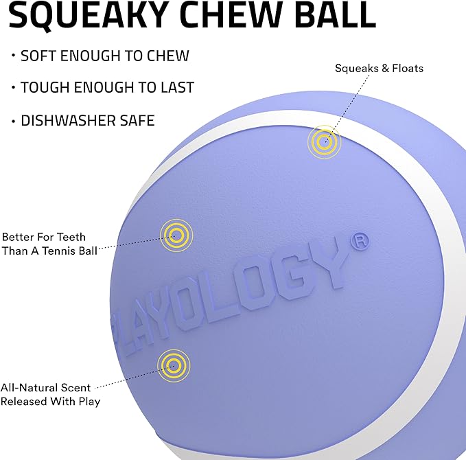 Playology Dog Toys | Squeaky Chew Ball for Dogs | Blueberry Scented Medium Dog Ball | Bouncy Floating Chew Toys for Fetch