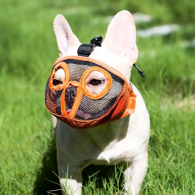 Short Snout Dog Muzzles- Adjustable Breathable Mesh Bulldog Muzzle for Biting Chewing Licking Grooming Dog Mask,Orange(Eyehole) M