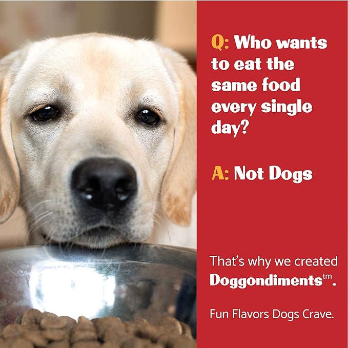 Pizza Pie Delight Dog Food Topper, Fun People Food Flavors, Powder, Small & Large Breeds, Made in USA