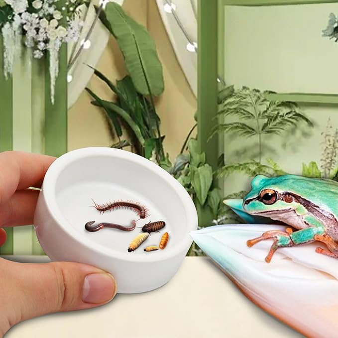 Escape-Proof Reptile Food Dish Bowl, Ceramics Small Animal Bowls for Lizard Frog Snake Turtle Gecko Hamster Food Bowl for Anti Living Foods Escape, Reptile Water Dish (L,3.93inches)