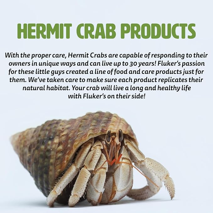 Fluker's Hermit Crab Sand Scooper