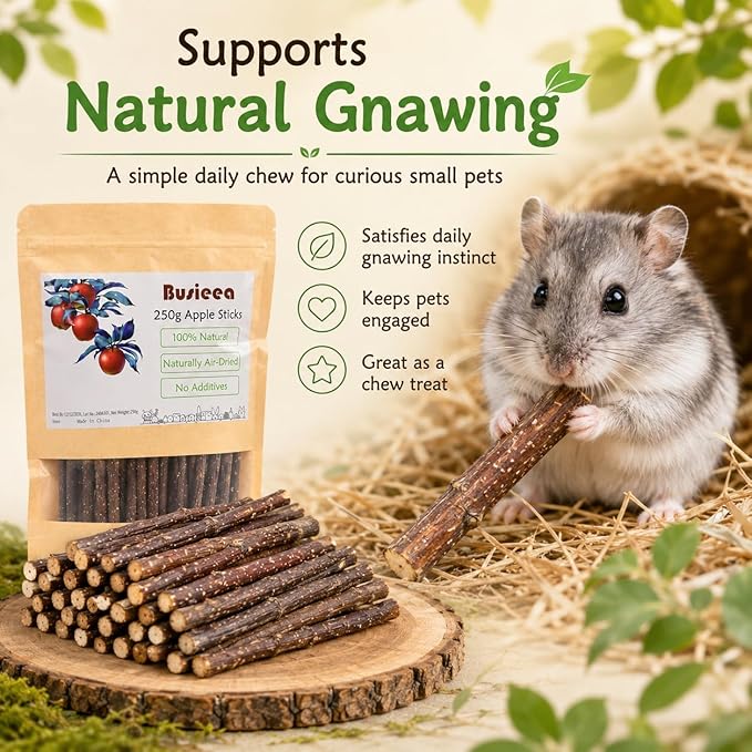 Premium Natural Apple Sticks - 250g/8.82 OZ Molar Chew Treats for Rabbits Chinchillas Guinea Pigs Hamsters Small Animals