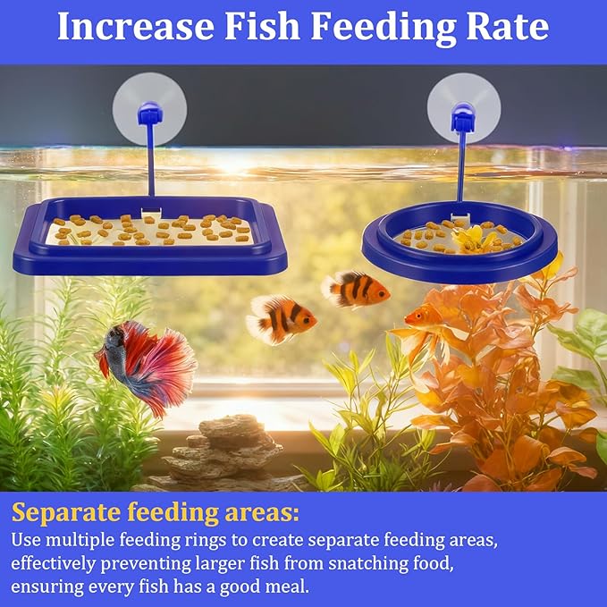 2Pcs Floating Fish Feeder, Fish Feeding Ring for Aquarium, Betta Fishes Tank Accessories Blue Turtle Feeding Ring with Suction Cup, Square & Round Floating Food Feeder for Betta, Goldfish, Turtle