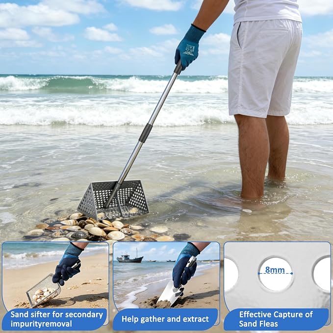 Sand Flea Rake, 65" Long Handle Stainless Steel Sand Sifter, 12" Wide Mesh Screen Beach Rake, Heavy Duty Shark Tooth Sifter for Seaside Collecting Sand Fleas, Shark Teeth, Seashells & MarineTreasures