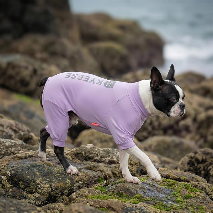 KYEESE UV Protection Dog Shirt, UPF 50+ Cooling Summer Jumpsuit for Small Dogs, Breathable Reflective Shedding Control Dog Sun Shirts, Quick-Dry Dogs Onesie Pet Clothes, Purple, L