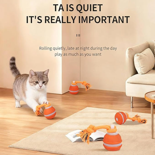Interactive Dog & Cat Toys for Small Dogs and Indoor Cats - Automatic Moving Ball with Chirping Sound, Motion Activated Self Play Toy to Entertain Bored Pets, Easter Basket Essentials (1 Orange)