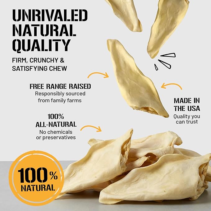 Dog Chits Cow Ears for Dogs – All Natural Cow Ear Dog Treats & Training Chews – High Protein, Low Fat – Thick Cut, Full-Sized – Dental Clean Crunch – Ideal for Medium & Large Dogs – Large, 10 Pk