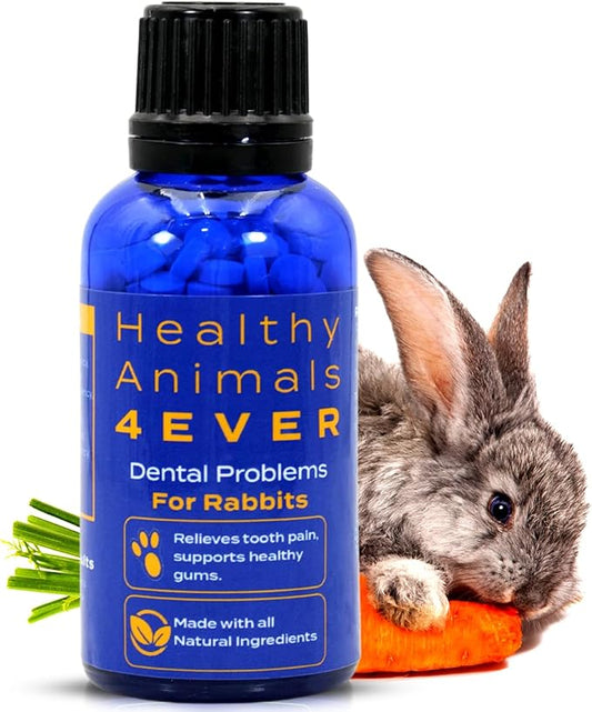 HealthyAnimals4Ever HA4E - Rabbit Dental Problems Treatment - Preventive Care for Dental Issues & Overgrown Teeth - Promotes Oral Health - Natural Homeopathic Tablets - 300 Count