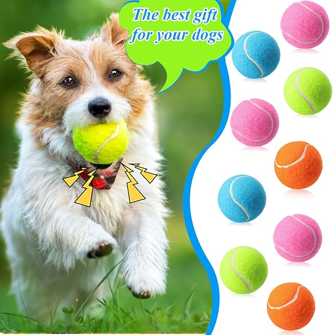 Skylety 40 Pcs 2.5 Inch Squeaky Tennis Balls Bulk for Dogs Bouncy Floatable Tennis Balls Dog Playing Supplies Training Interactive Fetch Toys Indoor and Outdoor for Small Medium Puppy (Multicolor)