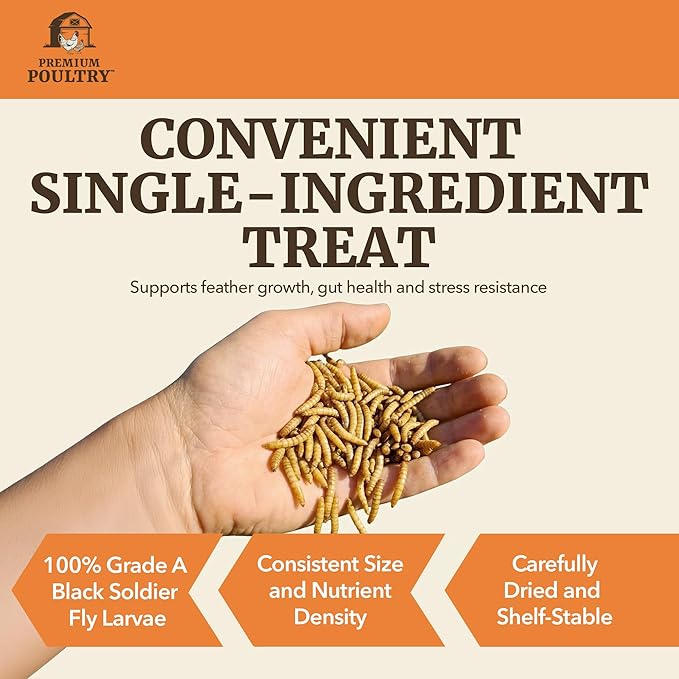 Black Soldier Fly Larvae for Chickens – High Calcium Chicken Treats for Strong Eggshells & Egg Production – Dried BSFL Grubs Poultry Feed for Ducks, Wild Birds & Backyard Flocks, 20lb