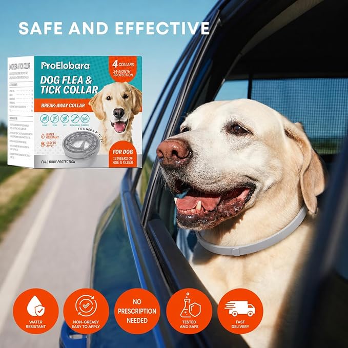 Flea and Tick Prevention Collars for Dogs: Natural Essential Oil Pet Flea Tick Collar Treatment - Break-Away Collars for Extra Large, Medium, Small Dogs, Fleas Ticks Control for Puppies