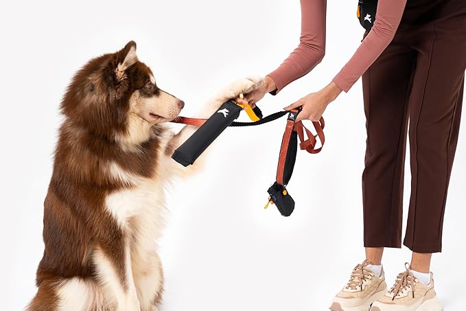 OllyDog Tugger | Durable Dog Tug Toy | Recycled | Tough Dog Bite Pillow | Handle | Interactive Pull Toy | Fetch & Training (Raven)