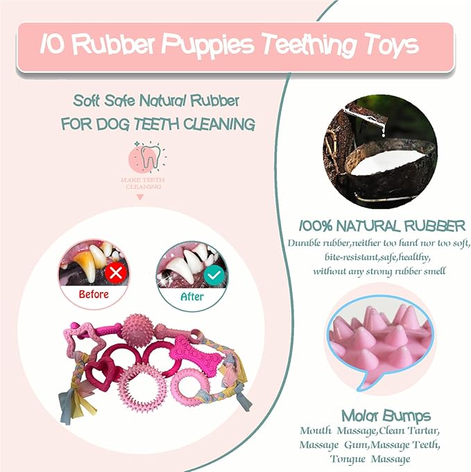 20Pcs Puppy Teething Toys for Small Medium Dogs - Cute Chew Toy Bundle Includes Plush Squeaky Toys, Rubber Ball, Rope Toy, TPR Bone, Dental Chew Ring - Interactive Dog Toy Gift with Storage Bag
