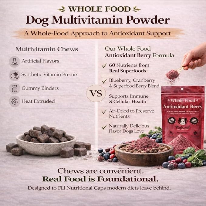 Natural Dog Company Dog Food Topper, Antioxidant Berry Vitamins & Superfood Meal Topper Supplement, Holistic Nutrition, Dog Food Seasoning, Immune Support, All Breeds, Ages, & Sizes of Dogs, 8oz Bag