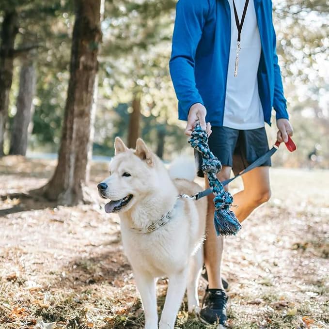 2 Pack Dog Whistle - Dog Whistle to Stop Barking Neighbor's Dog & Long Range Recall, Adjustable Ultrasonic Silent Dog Whistle with Lanyard for Training Recall, Professional Obedience