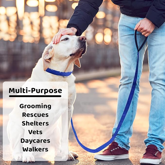 Downtown Pet Supply - 6ft Dog Kennel Slip Lead - Veterinarian, Grooming, Daycare & Rescue Supplies - One Size Leads for Dogs - 1" Thick - 12 Pack