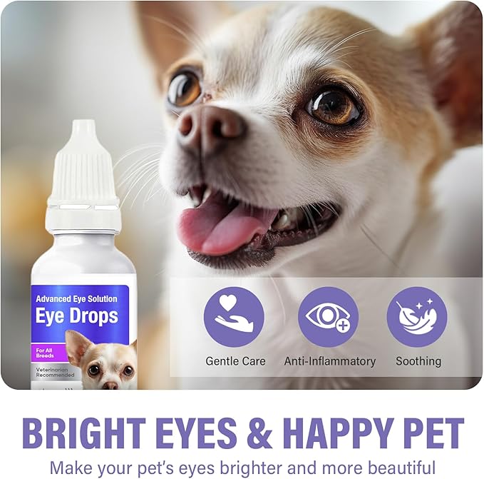 Dog Eye Drops, Premium Eye Drops for Dogs to Flush & Soothe, Advanced Dog Eye Wash for Daily Care & Tear Stain Prevention, Effective Dog Eye Infection Treatment, 10ml/2 Bottles
